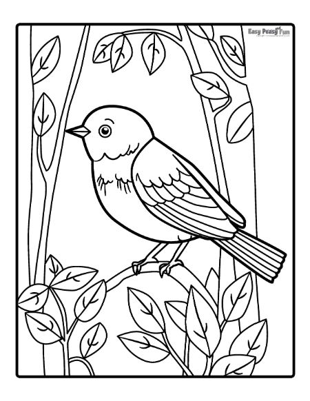 Bird Printable Coloring Pages: A Creative and Educational Resource