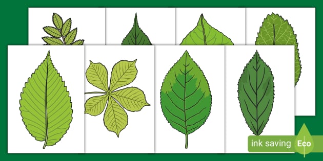 Cut Out Printable Leaf Template: A Versatile Resource for Crafters and Educators
