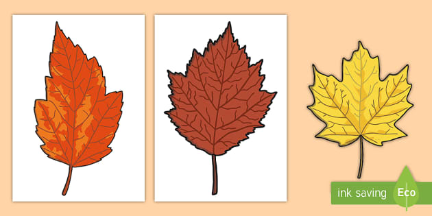 Fall Leaf Printable Patterns: A Colorful Guide to Autumn’s Beauty