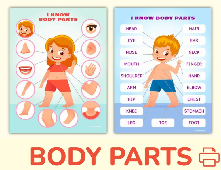 Printable Body Parts Worksheet For Kindergarten: A Comprehensive Guide for Early Learning