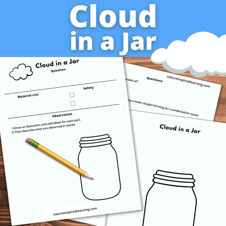 Printable Cloud In A Jar Worksheet: A Comprehensive Guide