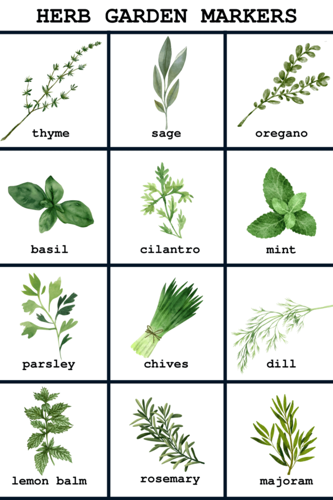 Printable Garden Labels: A Guide to Labeling Your Garden