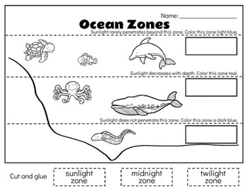 Printable Ocean Zones Worksheet Pdf: Dive into the Depths of Marine Ecology