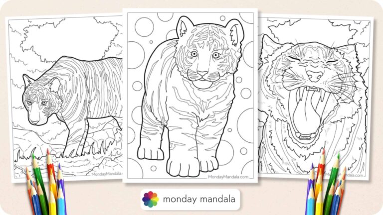Printable Tiger Pictures to Color: A Fun and Educational Activity for All Ages