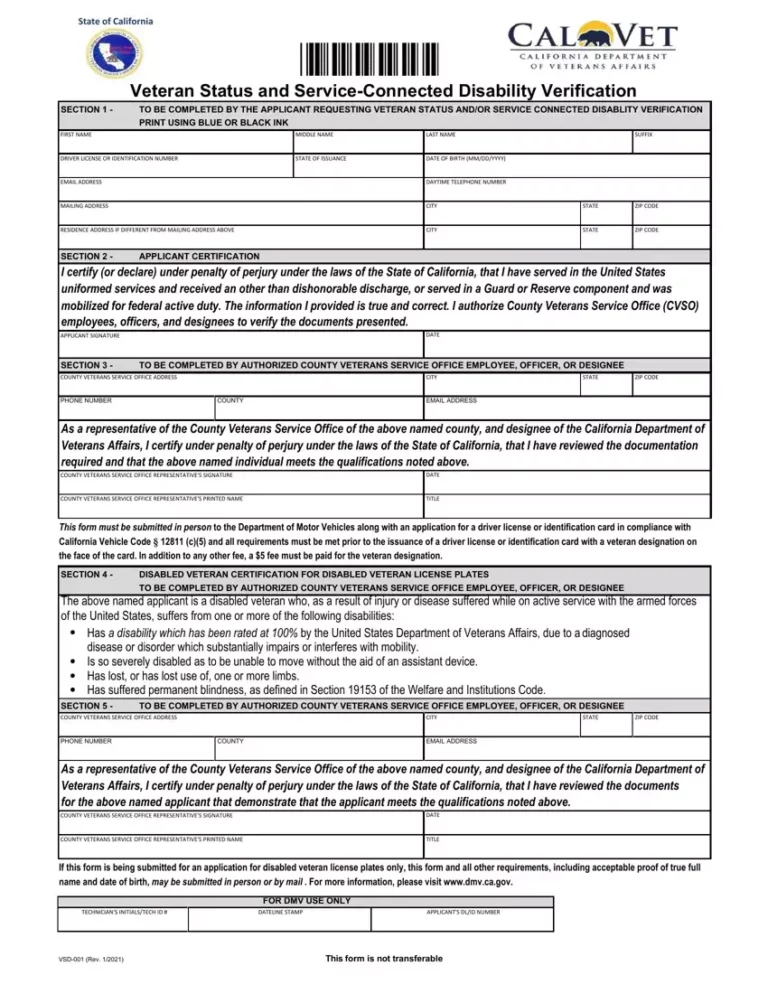 Printable VSD 001 Form: A Comprehensive Guide to Using and Understanding