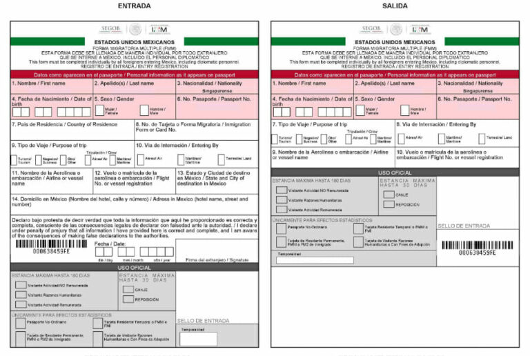 The Ultimate Guide to Fmm Printable Form