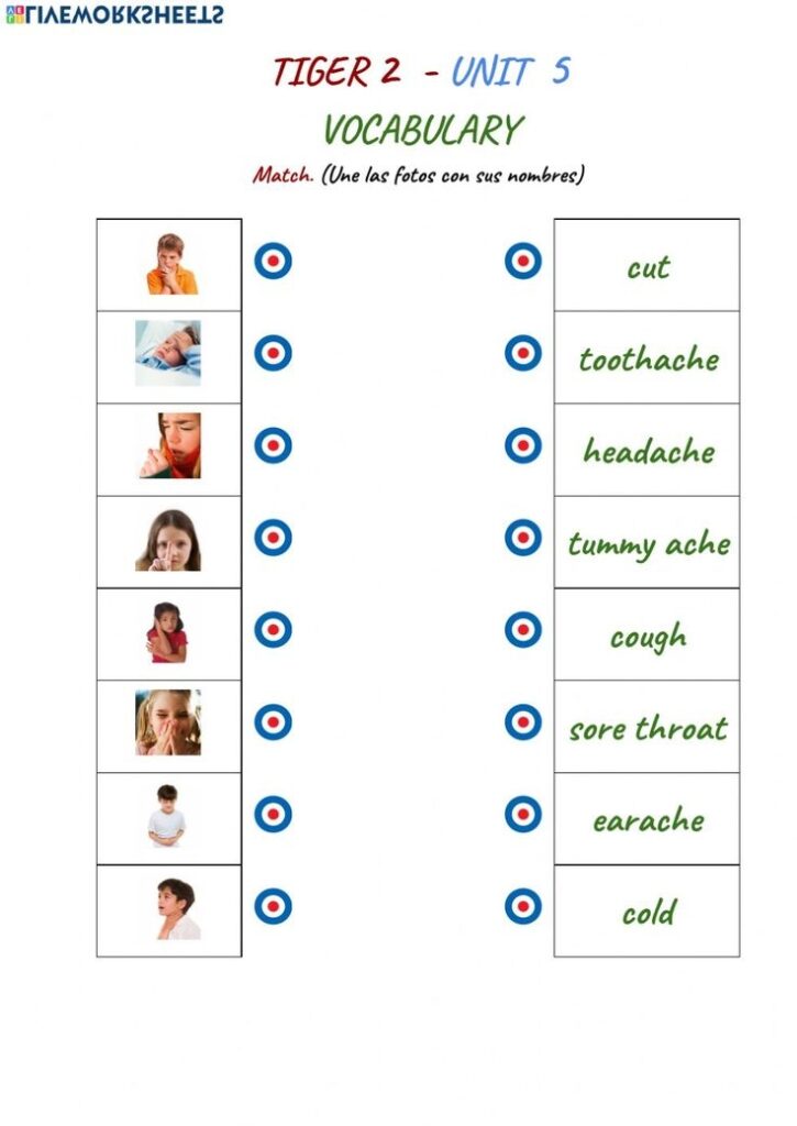 2Nd Grade Health Worksheets Printable Word Searches