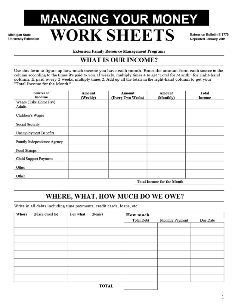 50 Money Management Worksheets Excel Word PDF TemplateArchive