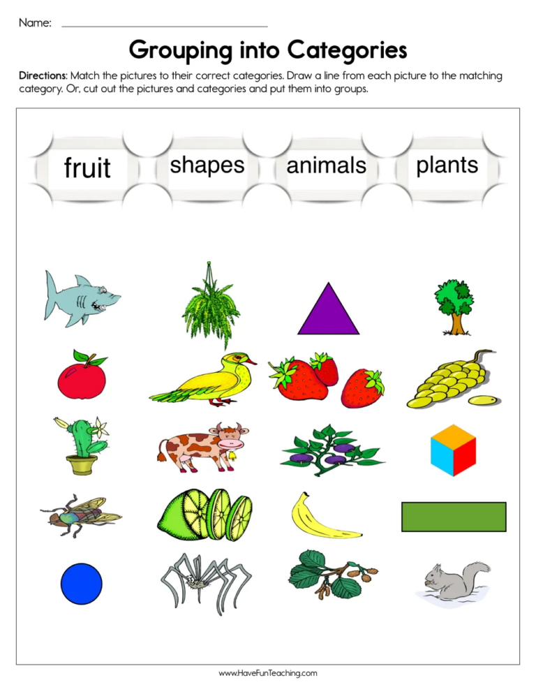 Basic Categories Of Words Grade 1 Worksheet