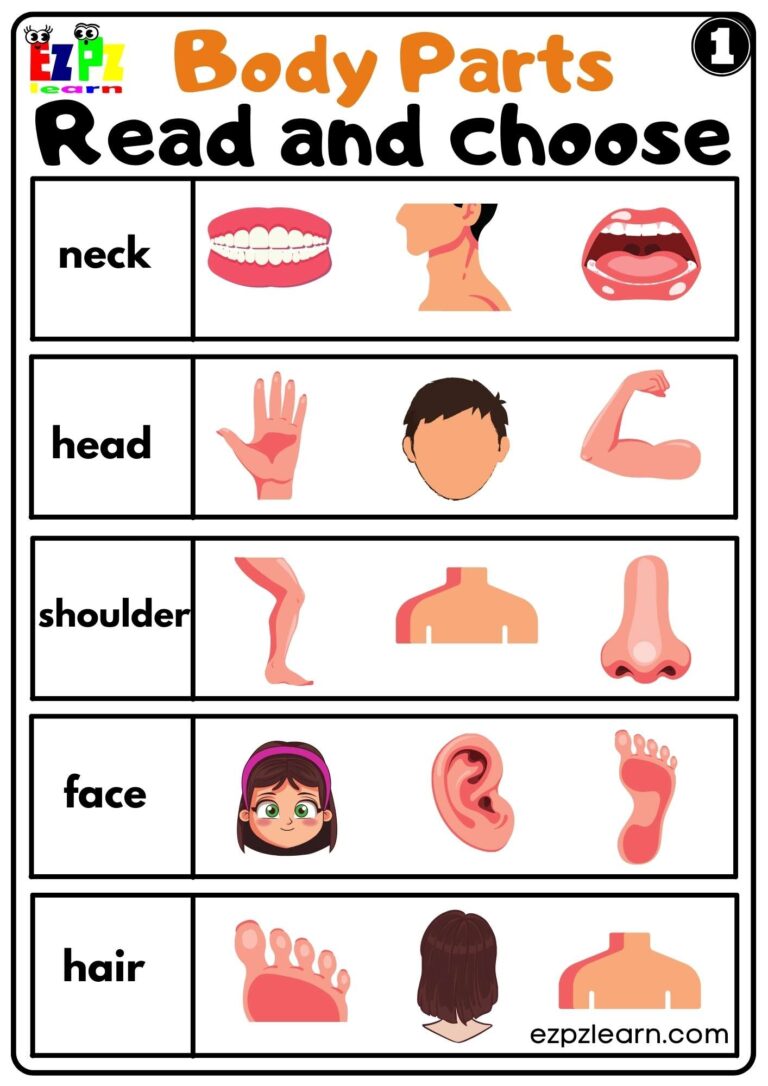 Body Parts Read And Choose Worksheets For Kids And ESL PDF Download Set 