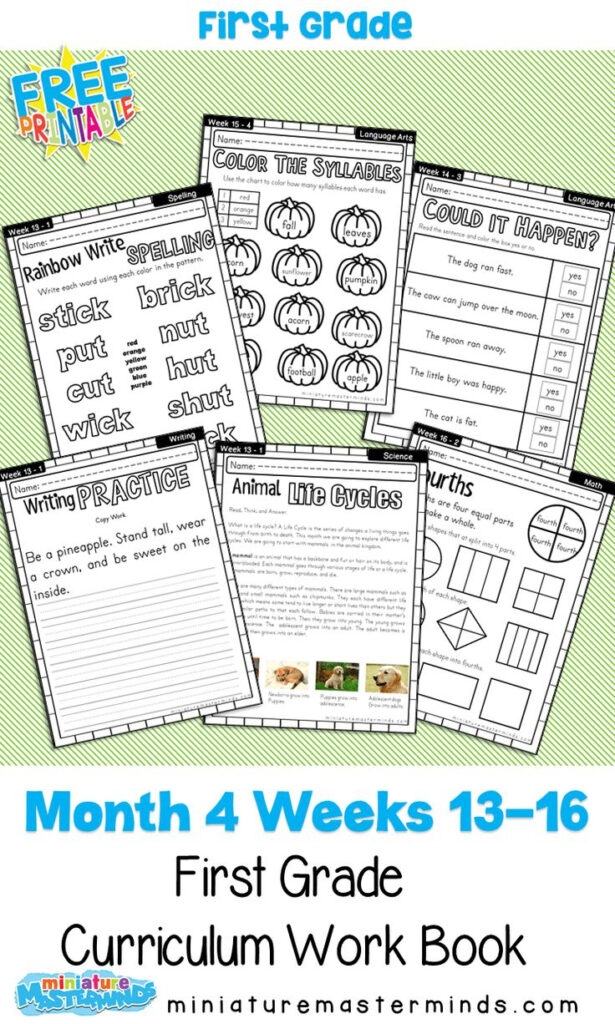 Free First Grade Curriculum Printable NewFreePrintable