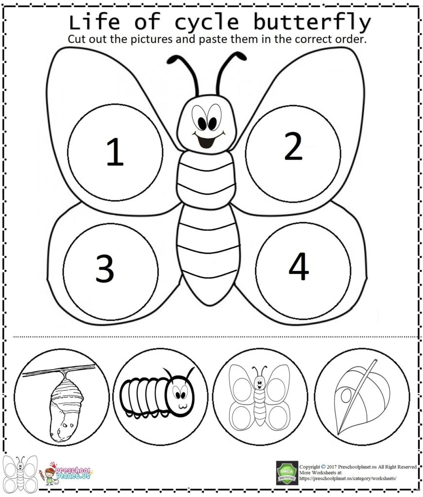 Free Printable Butterfly Life Cycle For Kids