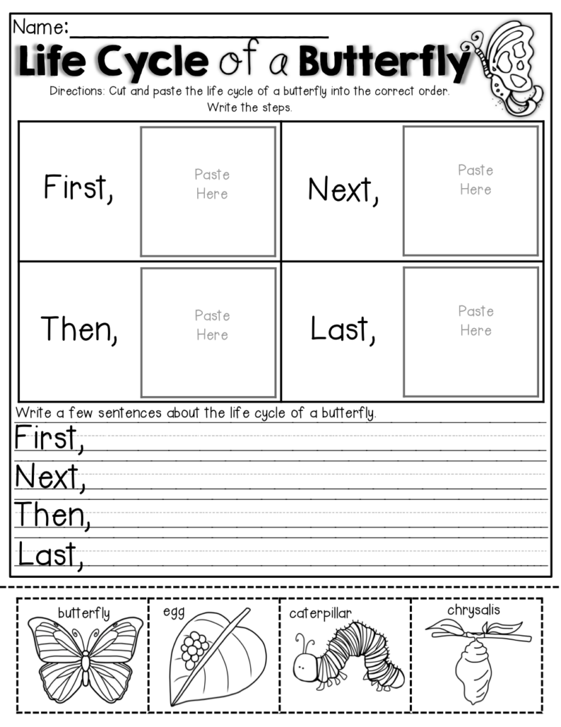 Free Printable Butterfly Life Cycle Worksheet