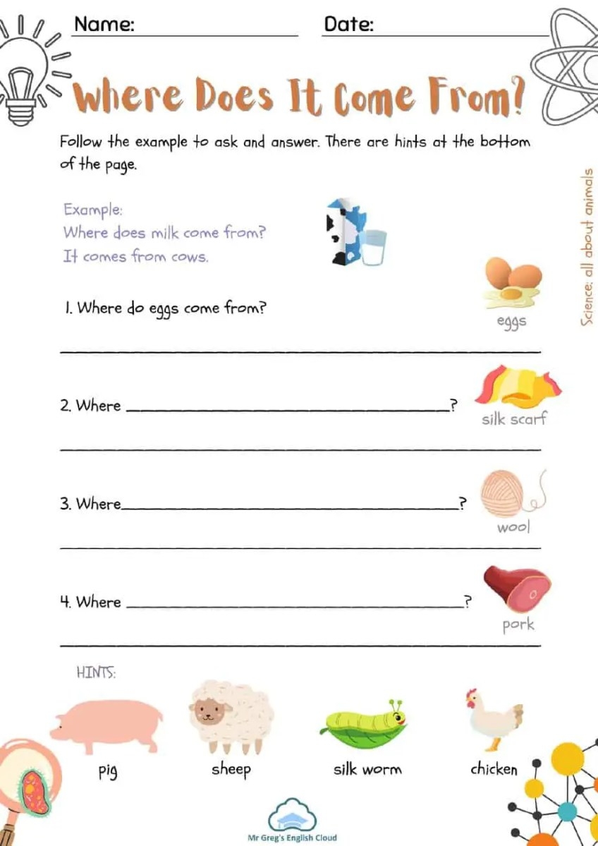 Free Printable Science Worksheets For Grade 2 Worksheets Library