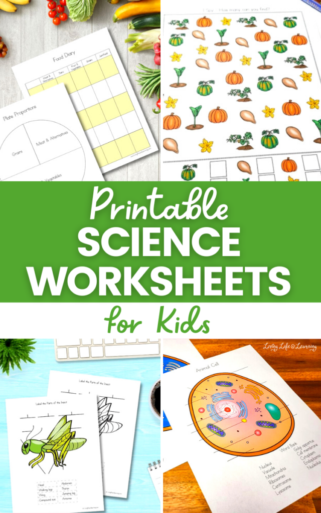 Free Printable Science Worksheets Skoolgo Worksheets Library NBKomputer