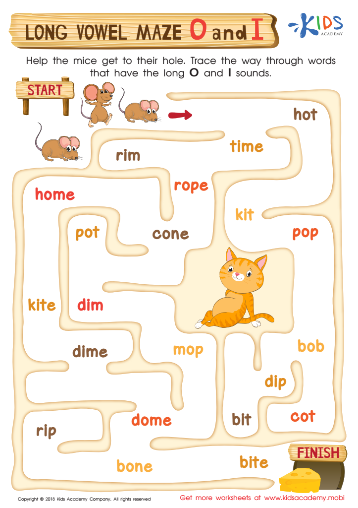 Long Vowel Practice Exercise Long Vowels Worksheets And Activities 