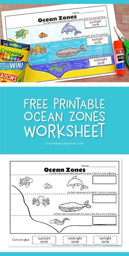 Ocean Zones For Kids Learning About The Amazing Ocean Ocean 