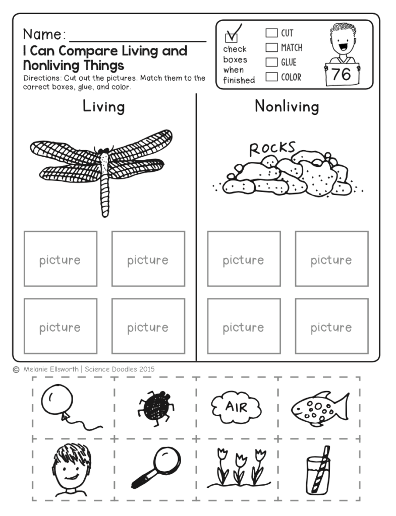 Preschool Science Activities Worksheets