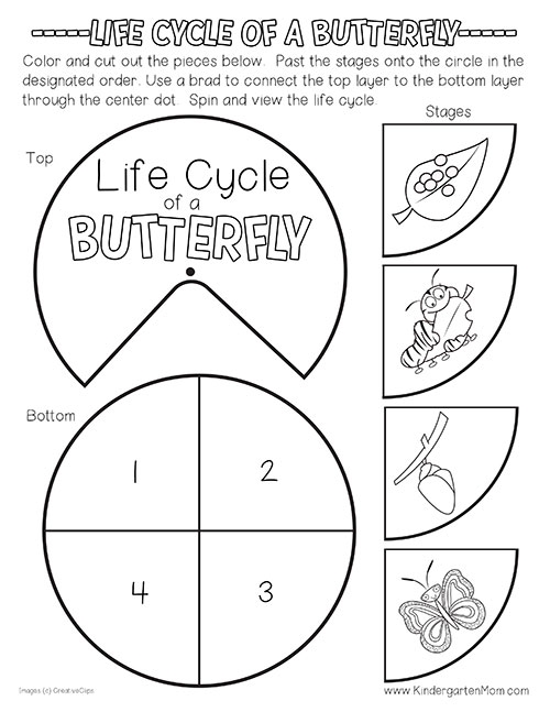 Printable Butterfly Life Cycle