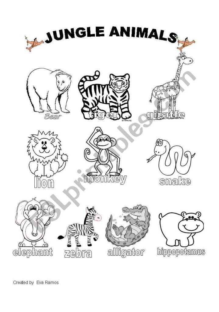 Printable Jungle Worksheets For Preschool